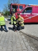 IMG_20240509_113756
