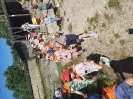 Tygryski w zagrodzie edukacyjnej 