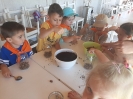 Tygryski w zagrodzie edukacyjnej 