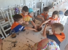 Tygryski w zagrodzie edukacyjnej 