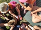 Tygryski w zagrodzie edukacyjnej 