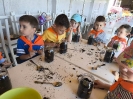 Tygryski w zagrodzie edukacyjnej 