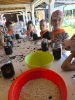Tygryski w zagrodzie edukacyjnej 