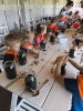 Tygryski w zagrodzie edukacyjnej 