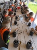 Tygryski w zagrodzie edukacyjnej 