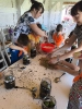Tygryski w zagrodzie edukacyjnej 