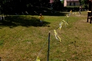 VIII Bieg Papieski 21.05.24r.