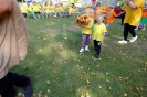 DSCF3662