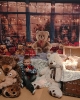 IMG-20231124-WA0044