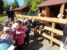 Wizyta dzieci z grupy Smerfów i Pszczółek w Atis Alpakoterapia 15,16.05.2024 r