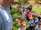 Wizyta dzieci z grupy Smerfów i Pszczółek w Atis Alpakoterapia 15,16.05.2024 r