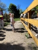 Wizyta dzieci z grupy Smerfów i Pszczółek w Atis Alpakoterapia 15,16.05.2024 r