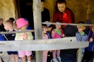 Wycieczka Żabek do Huty Szklanej 05.06.24r.