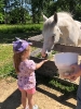 Wycieczka Żabek do Zagrody Edukacyjnej Wieś.co 27.05.24r.