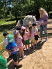 Wycieczka Żabek do Zagrody Edukacyjnej Wieś.co 27.05.24r.
