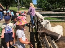 Wycieczka Żabek do Zagrody Edukacyjnej Wieś.co 27.05.24r.