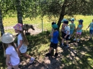 Wycieczka Żabek do Zagrody Edukacyjnej Wieś.co 27.05.24r.