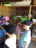 Wycieczka Żabek do Zagrody Edukacyjnej Wieś.co 27.05.24r.