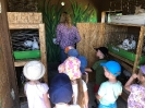 Wycieczka Żabek do Zagrody Edukacyjnej Wieś.co 27.05.24r.