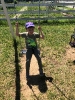Wycieczka Żabek do Zagrody Edukacyjnej Wieś.co 27.05.24r.