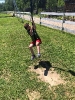 Wycieczka Żabek do Zagrody Edukacyjnej Wieś.co 27.05.24r.