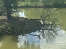Wycieczka Delfinków do Kompleksu Świętokrzyska Polana 24.05.24r.