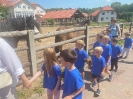 Wycieczka Delfinków do Kompleksu Świętokrzyska Polana 24.05.24r.