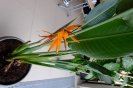 DSCF1319