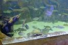 DSCF1362
