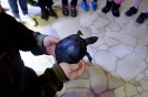 Wycieczka Skrzatów i Delfinków do Ośrodka Edukacji w Umianowicach 06.03.2024r.