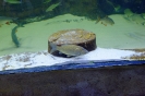 DSCF1367