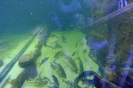 DSCF1371