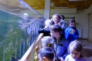 Wycieczka Skrzatów i Delfinków do Ośrodka Edukacji w Umianowicach 06.03.2024r.