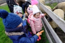 DSCF1456