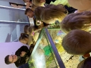 Wycieczka Skrzatów i Delfinków do Ośrodka Edukacji w Umianowicach 06.03.2024r.