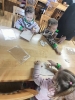 IMG20231116103224 (