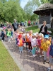 Wycieczka Tygrysków do Huty Szklanej 05.06.2024