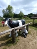 Wycieczka Tygrysków do Huty Szklanej 05.06.2024