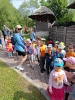 Wycieczka Tygrysków do Huty Szklanej 05.06.2024