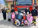 Biedronki i Tygryski poznają pracę strażaków - 09.05.2025