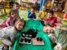 Biedronki ogrodnikami - 14.04.2025