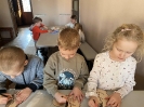Biedronki w Nadleśnictwie - 04.03.2025