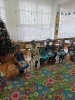 Delfinki dla WOŚP 07.01.2025
