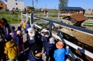 Delfinki na wycieczce w Umianowicach - 01.10.2024