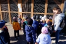 Delfinki na wycieczce w Umianowicach - 01.10.2024