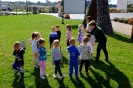 Delfinki na wycieczce w Umianowicach - 01.10.2024