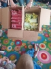 IMG-20250415-WA0010