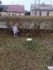 IMG-20250415-WA0104
