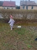 IMG-20250415-WA0105