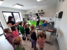 Delfinki u weterynarza 04.03.2025